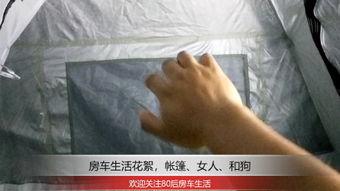 欧美做爰c视频,流行趋势与市场分析