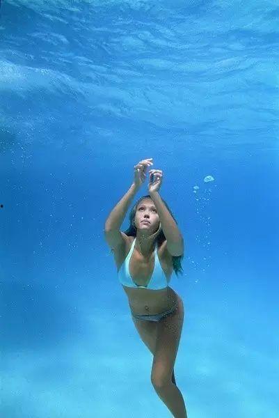 欧美明星养蛇视频播放,揭秘蛇类宠物的魅力与挑战