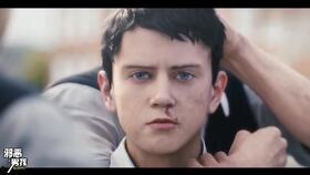 欧美家庭烧柴视频,温馨燃烧的绿色时光