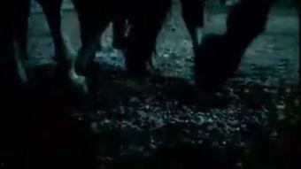 破碎感欧美视频,欧美音乐视频中的情感冲击与视觉盛宴